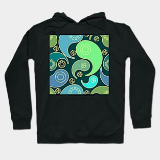 Paisley Principle 16 Repeat 5748 Hoodie